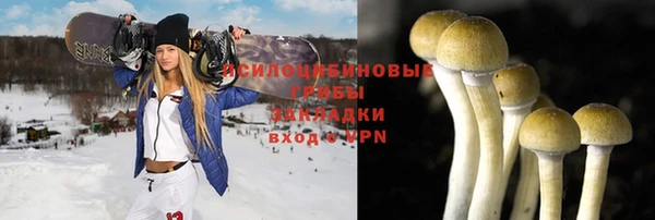 прущий лед Надым