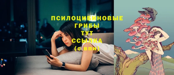 винт Михайловка