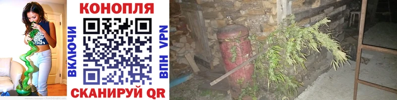 сколько стоит  Новая Ляля  Конопля планчик 